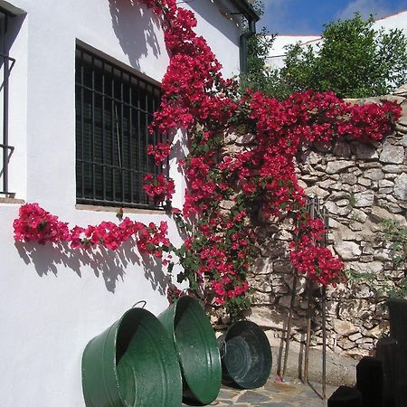 Casa Rural Y Restaurante Casa Adriano Pension Alanís Buitenkant foto