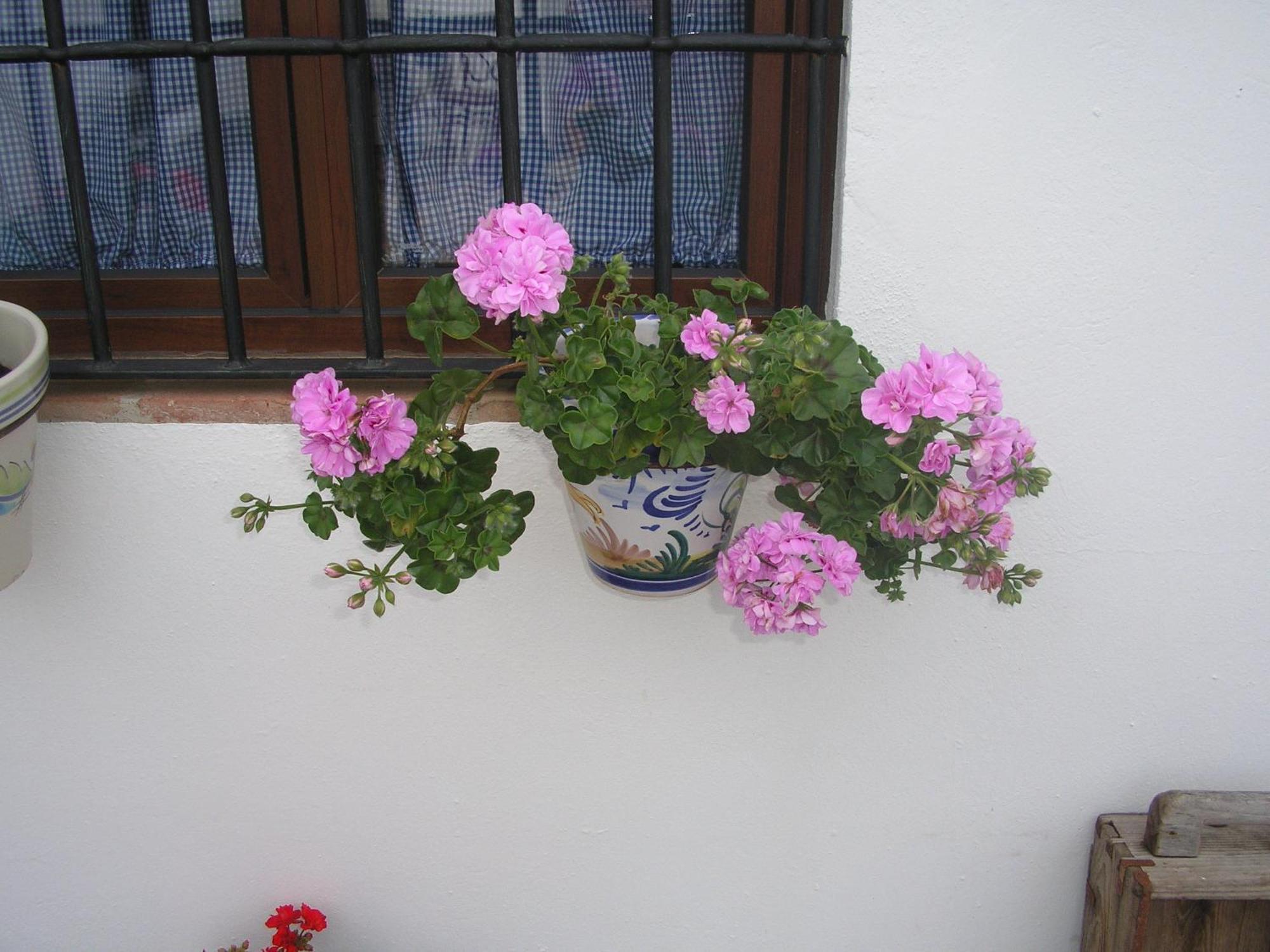 Casa Rural Y Restaurante Casa Adriano Pension Alanís Buitenkant foto